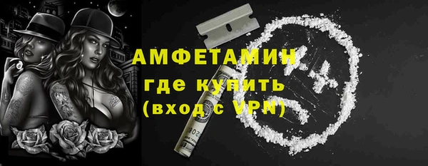 стафф Богданович