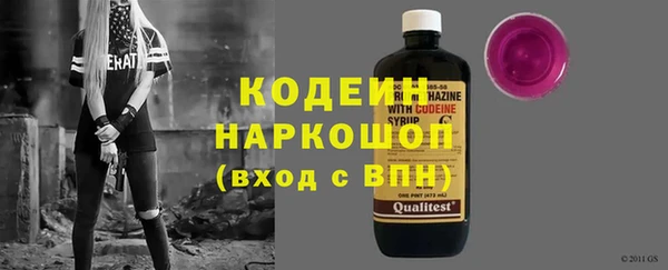 метадон Няндома