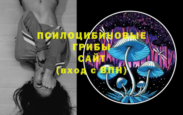 метадон Няндома