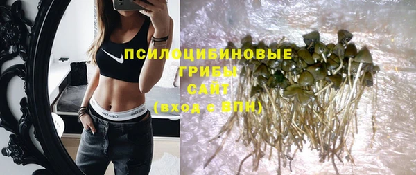метадон Няндома