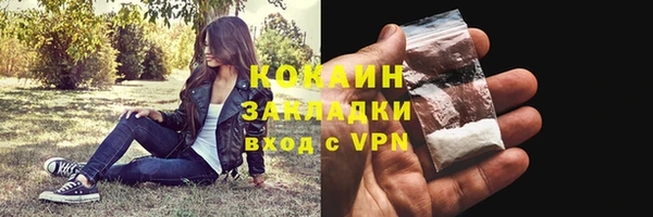 метадон Няндома