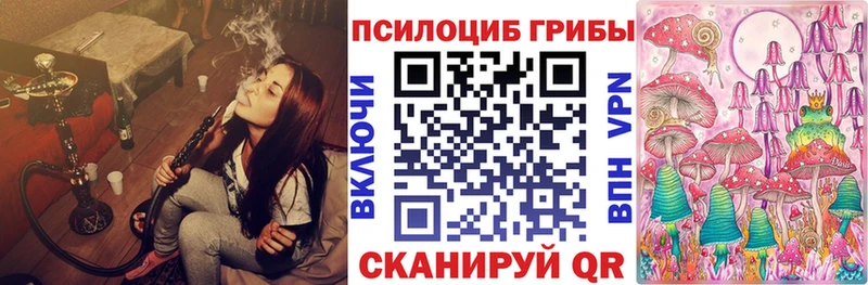 Псилоцибиновые грибы Psilocybe  гидра tor  Красновишерск 